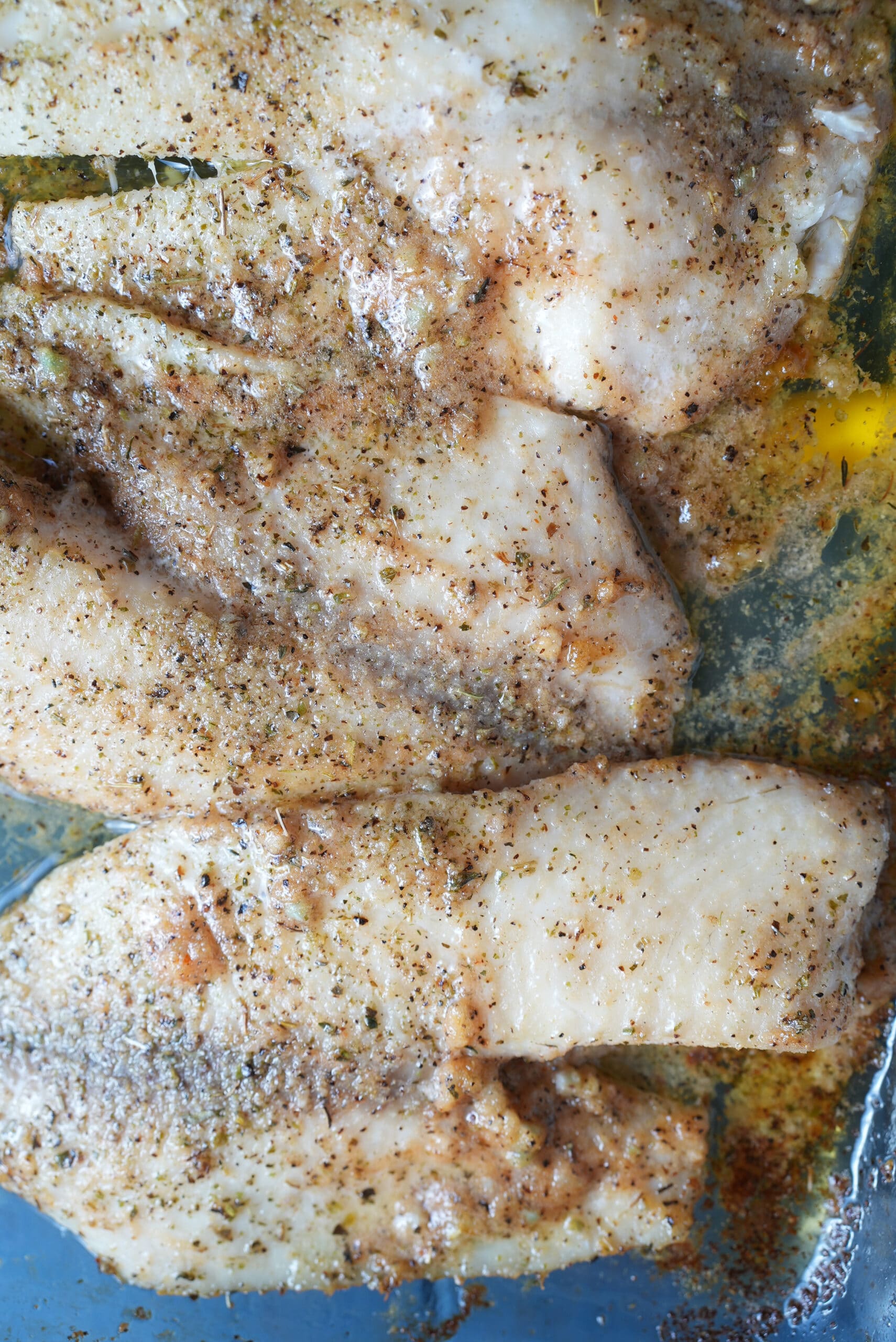 The Shot out of the oven of the fish